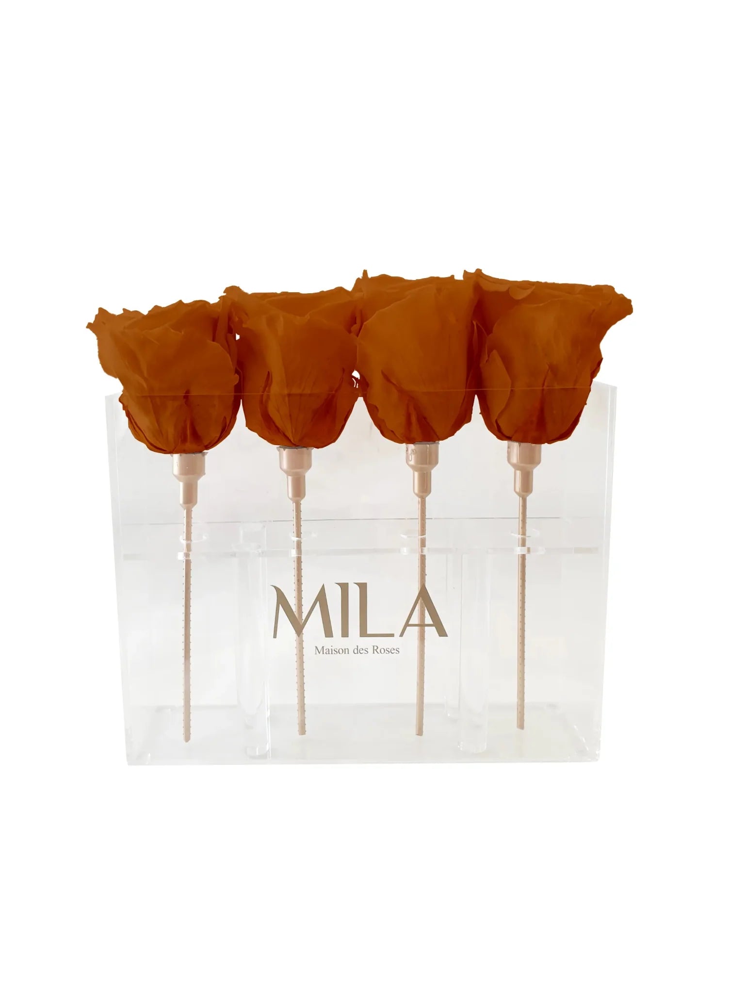 Mila Acrylic Mini Table - Mila Rose