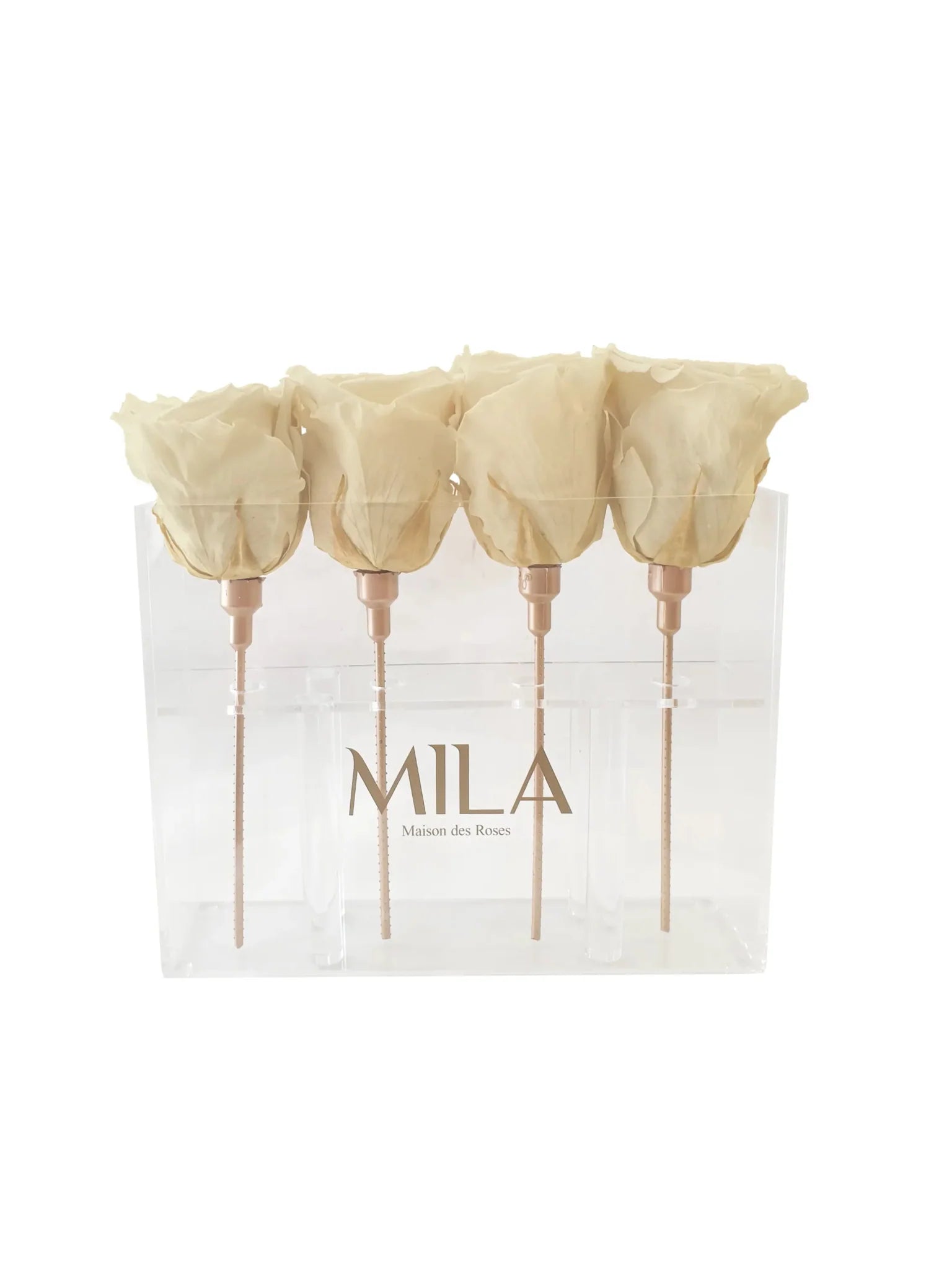 Mila Acrylic Mini Table - Mila Rose