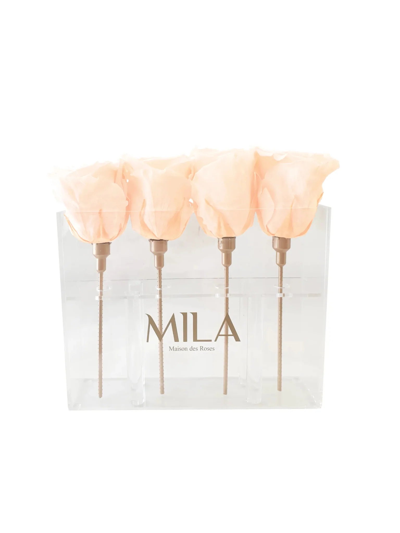 Mila Acrylic Mini Table - Mila Rose
