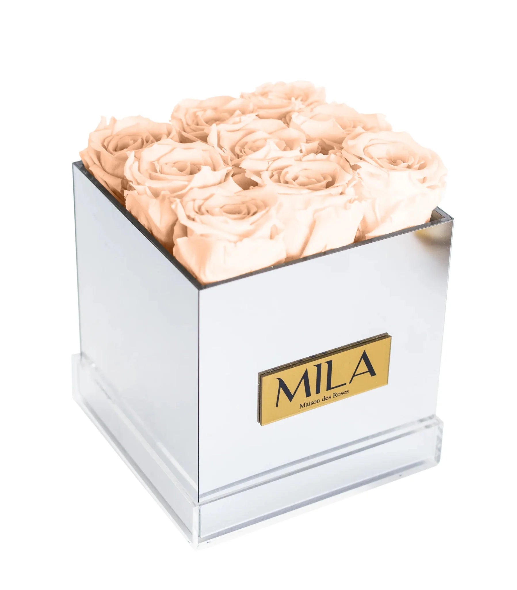 Mila Acrylic Mirror - Mila Rose