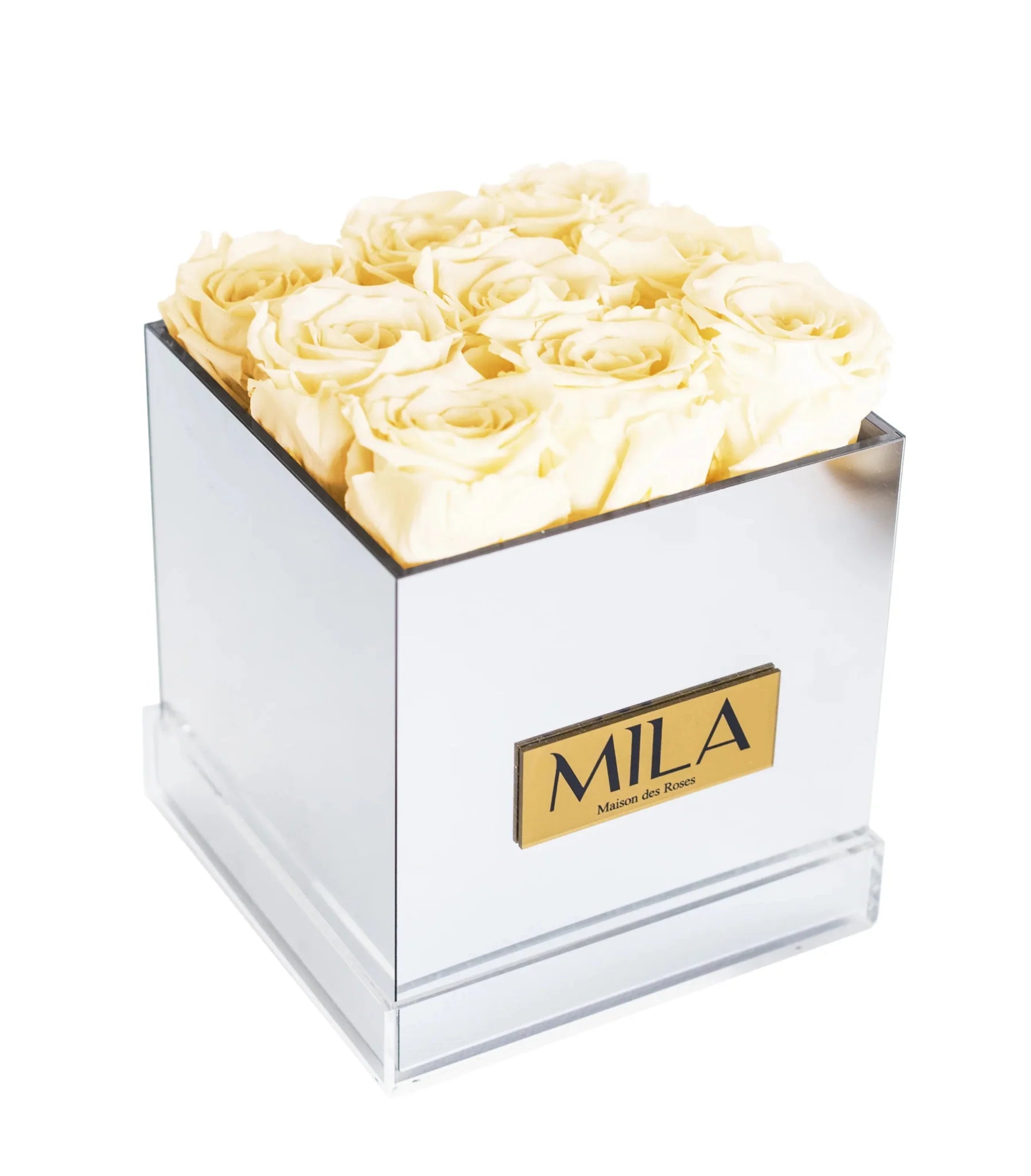 Mila Acrylic Mirror - Mila Rose