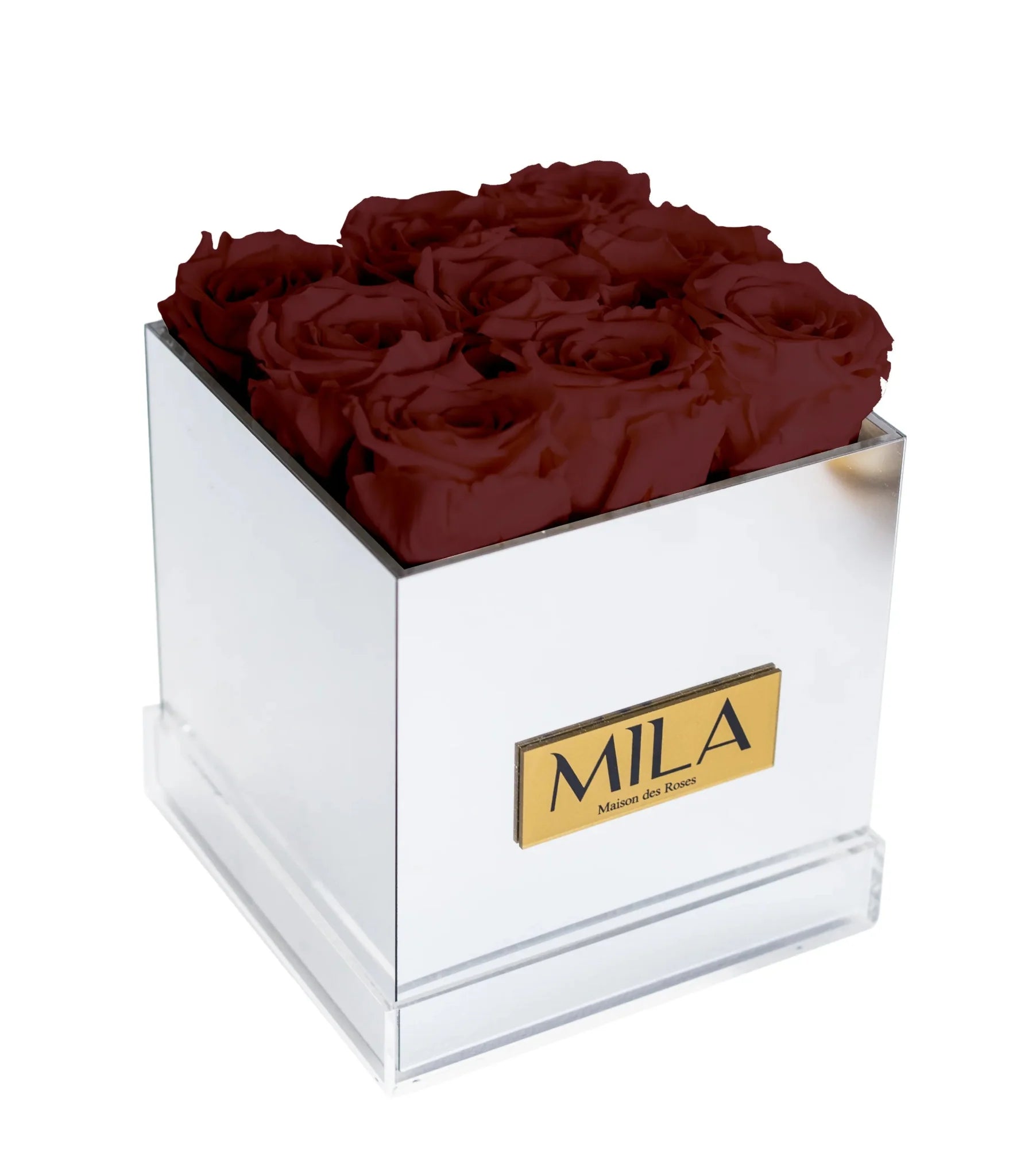 Mila Acrylic Mirror - Mila Rose