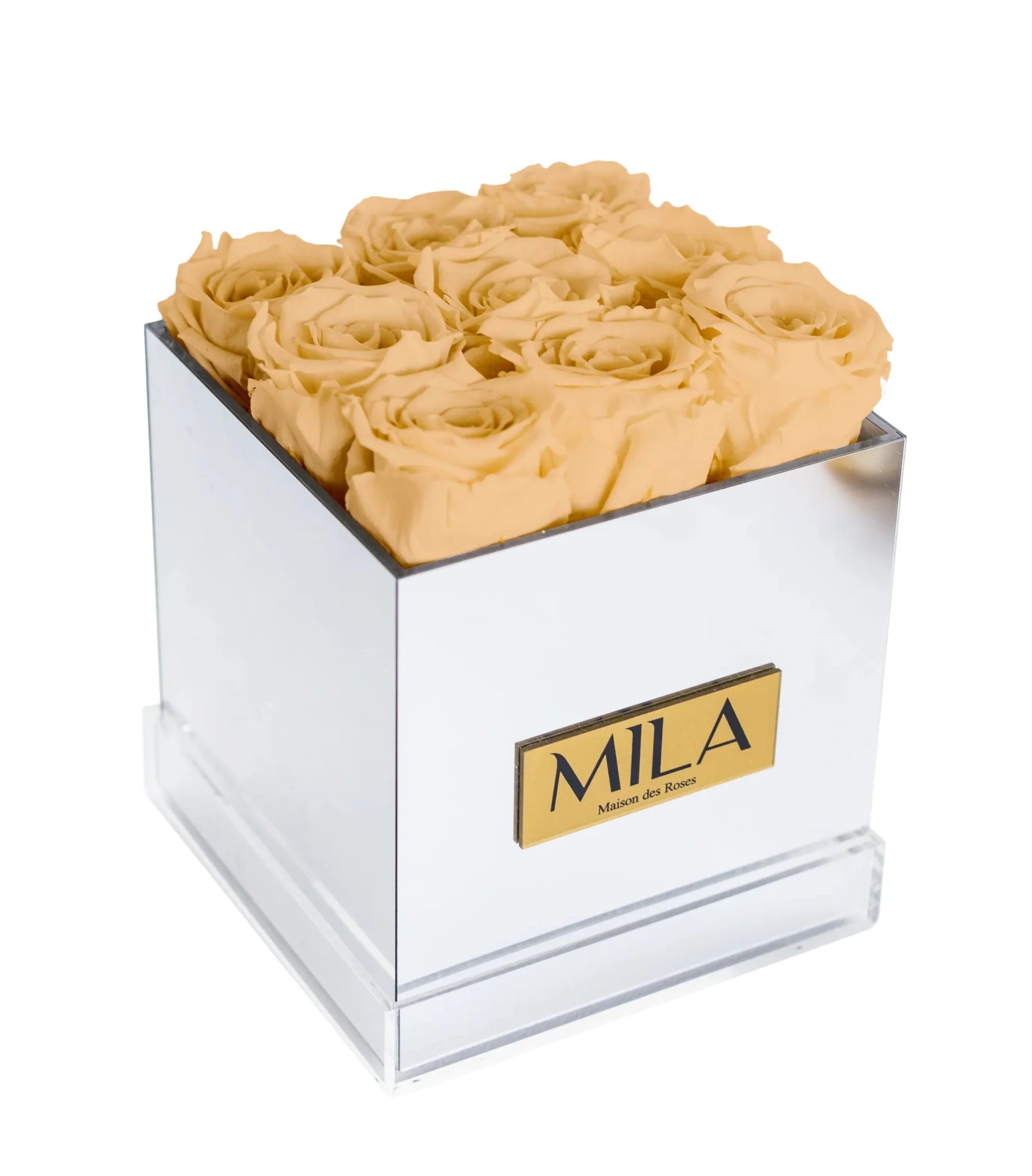 Mila Acrylic Mirror - Mila Rose