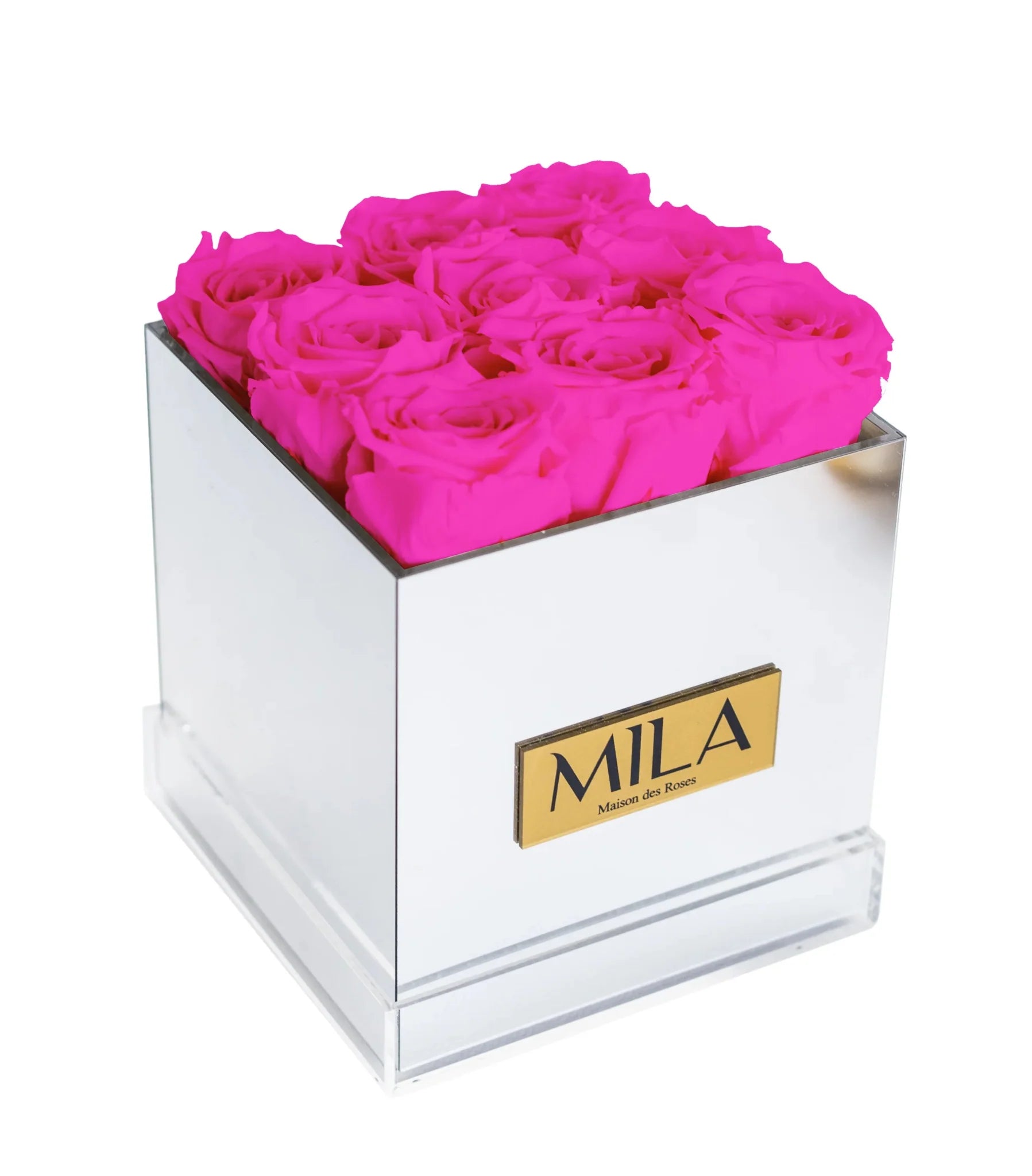 Mila Acrylic Mirror - Mila Rose