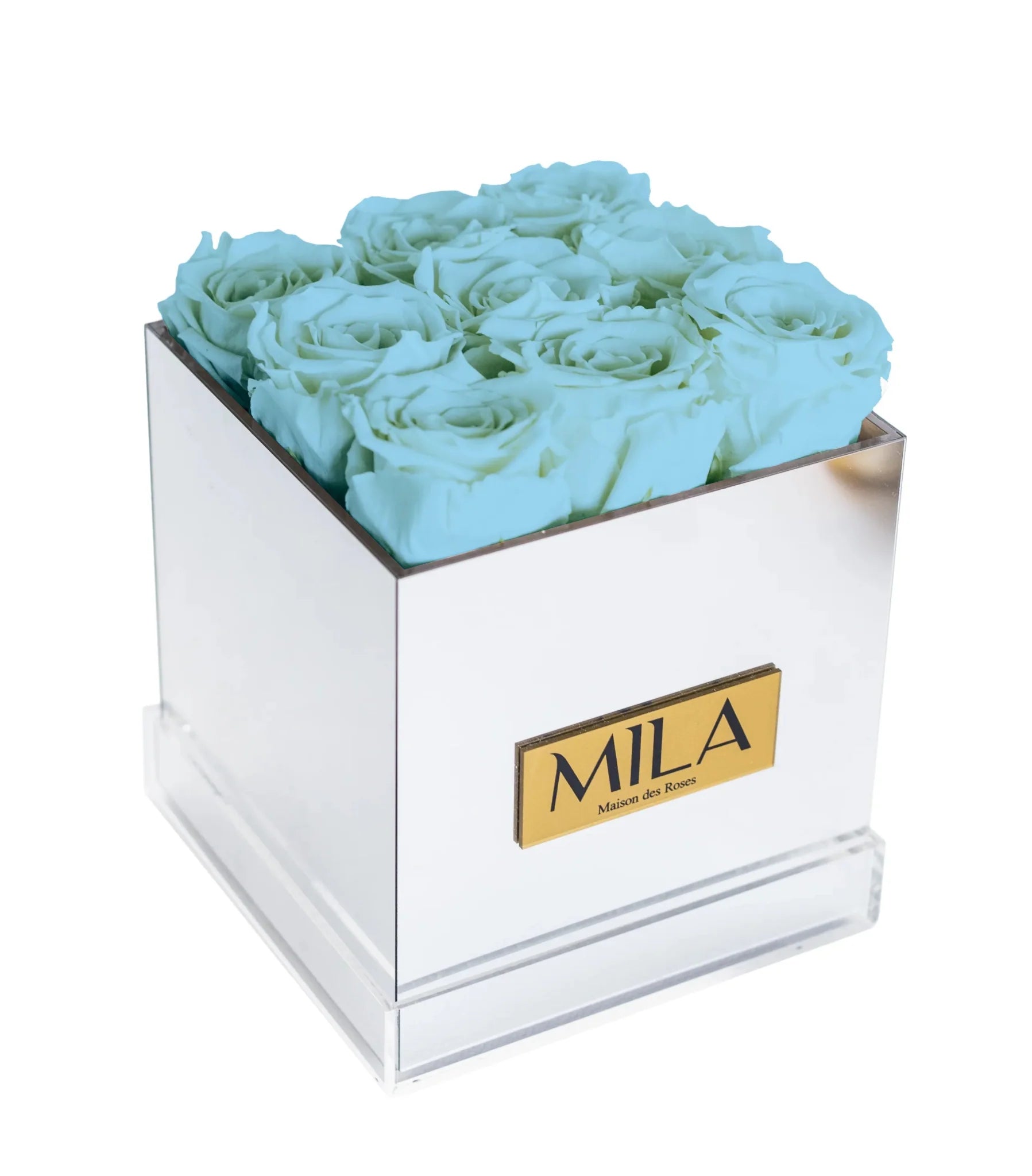 Mila Acrylic Mirror - Mila Rose