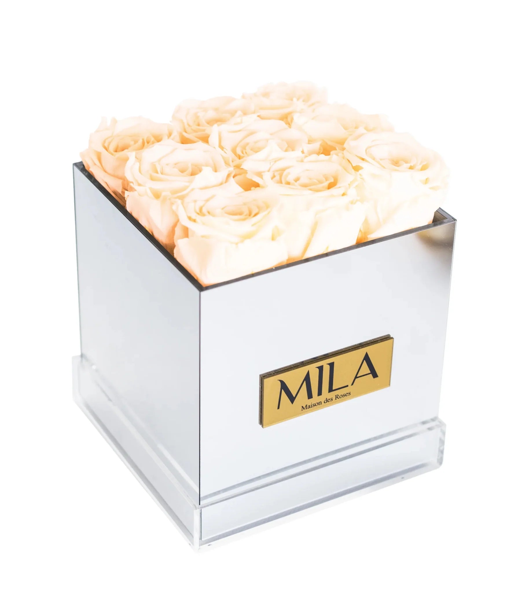 Mila Acrylic Mirror - Mila Rose