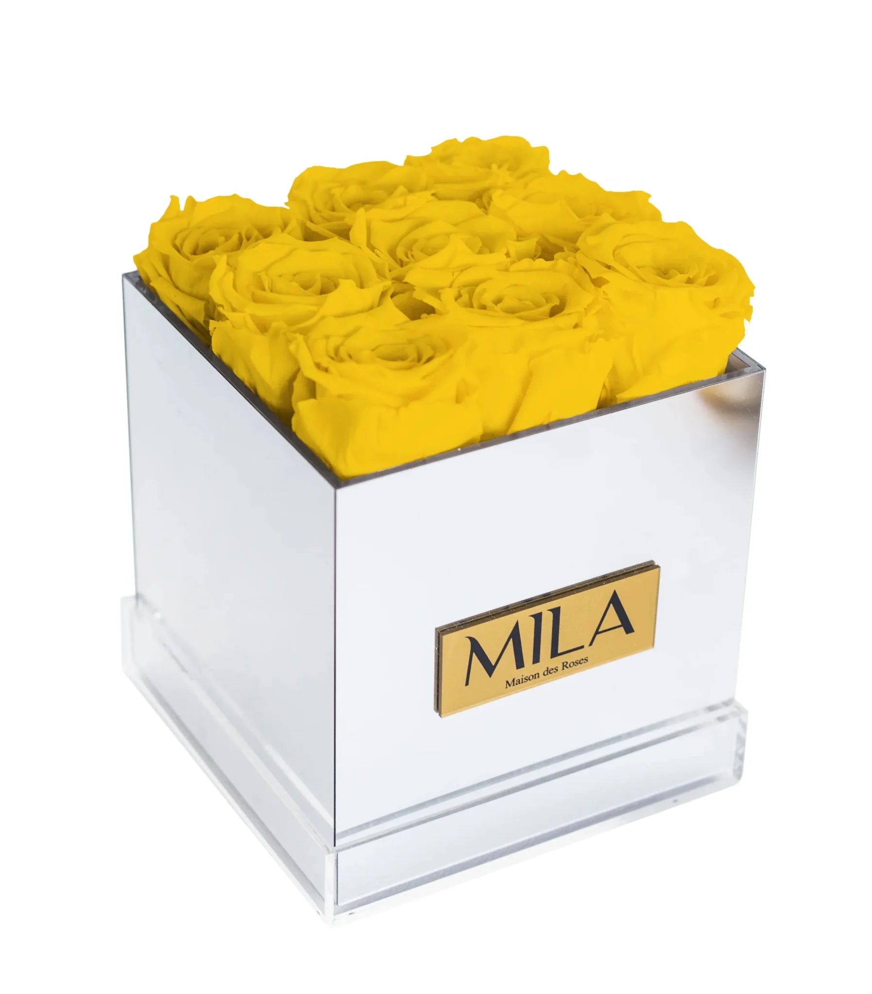 Mila Acrylic Mirror - Mila Rose