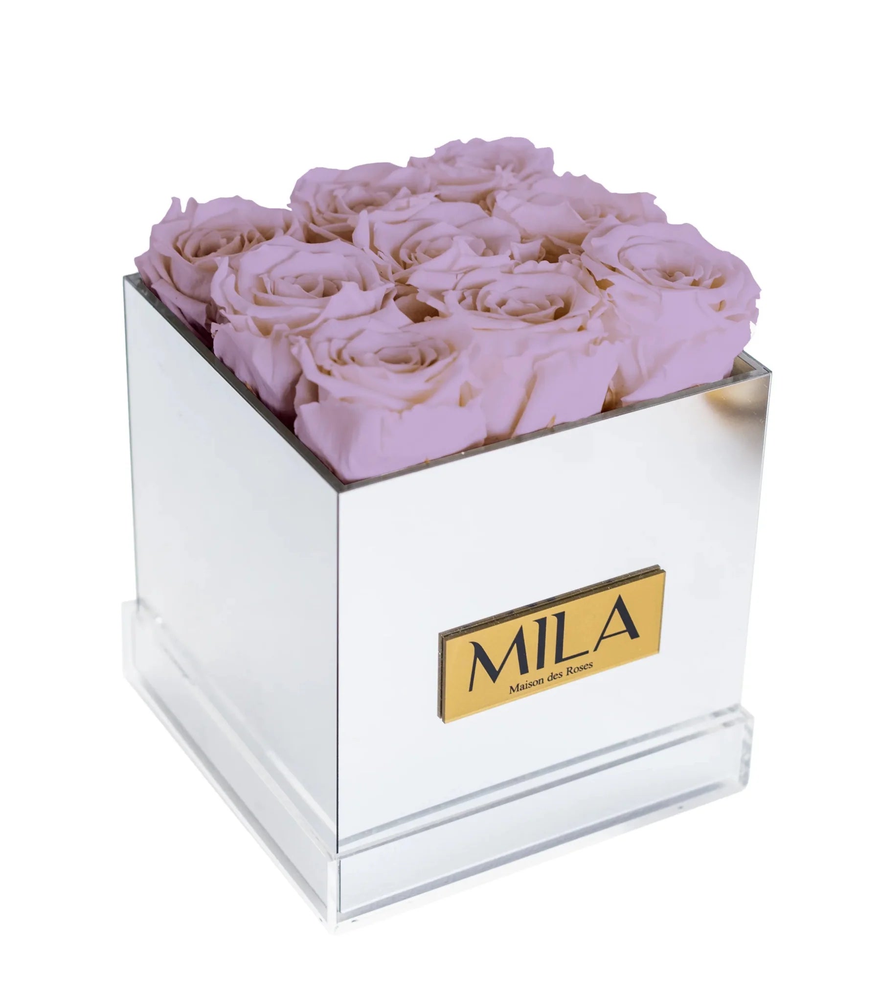 Mila Acrylic Mirror - Mila Rose