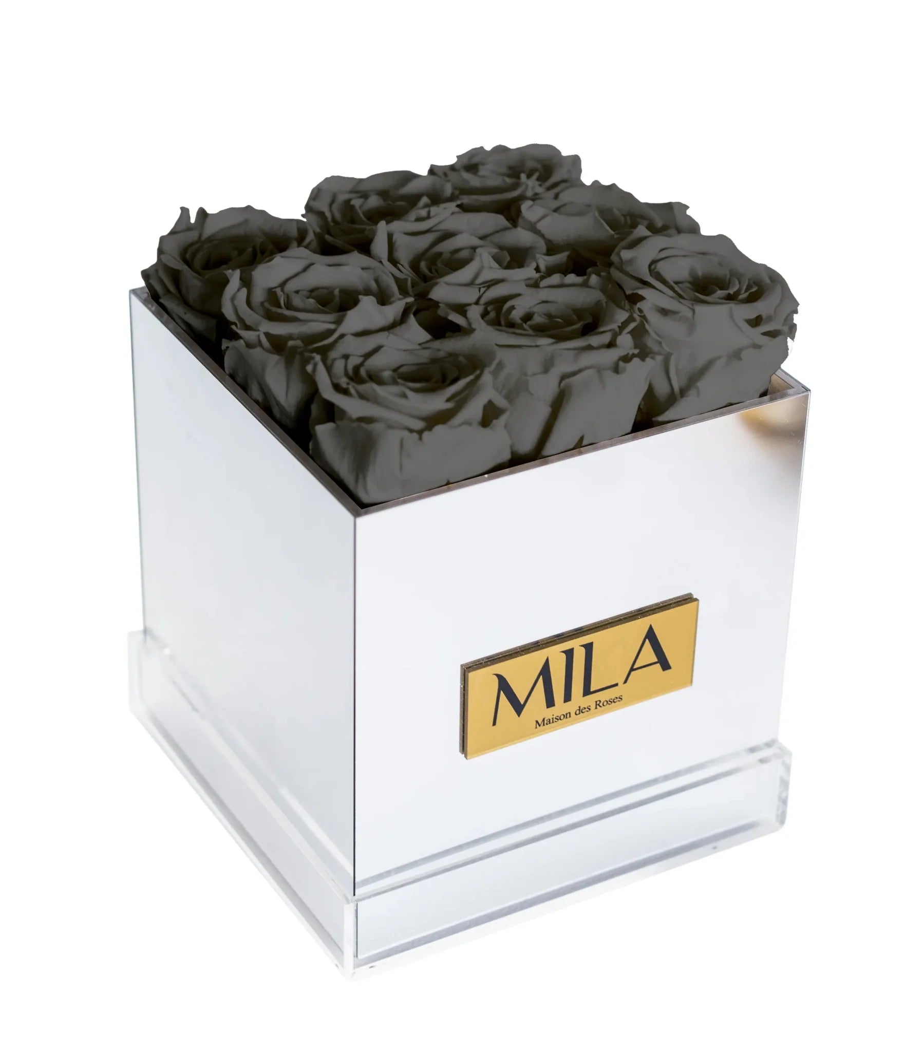 Mila Acrylic Mirror - Mila Rose