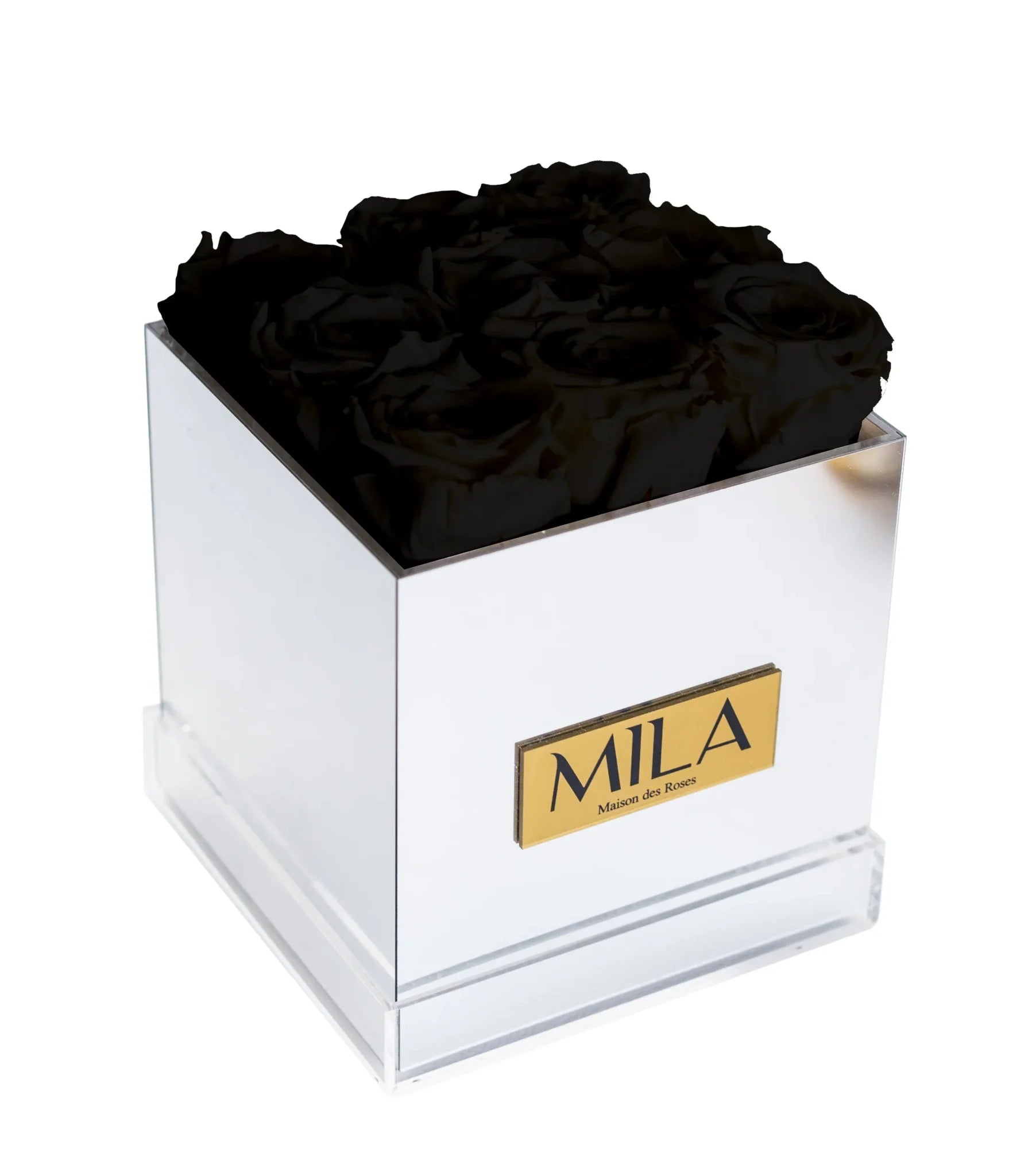 Mila Acrylic Mirror - Mila Rose