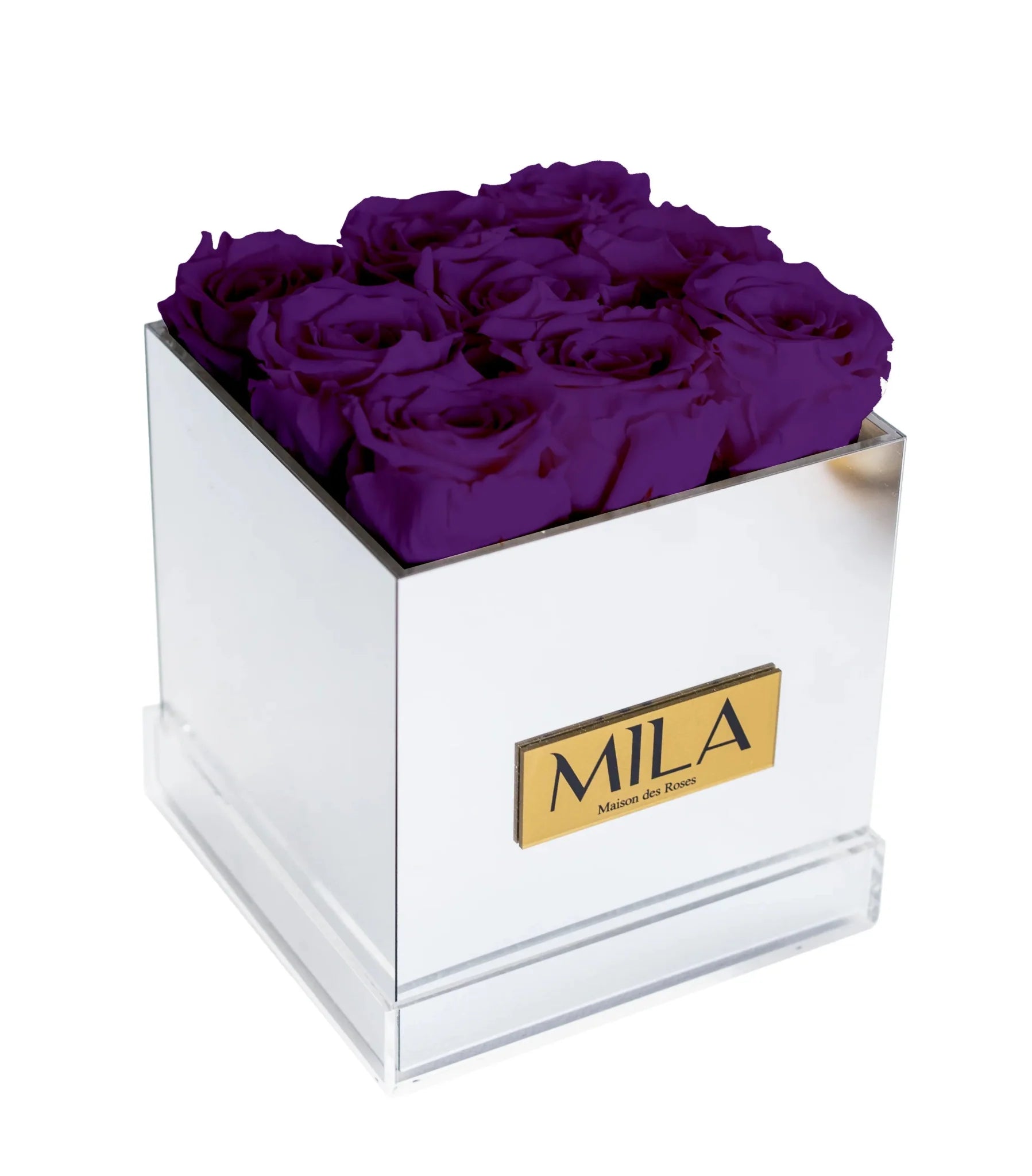 Mila Acrylic Mirror - Mila Rose