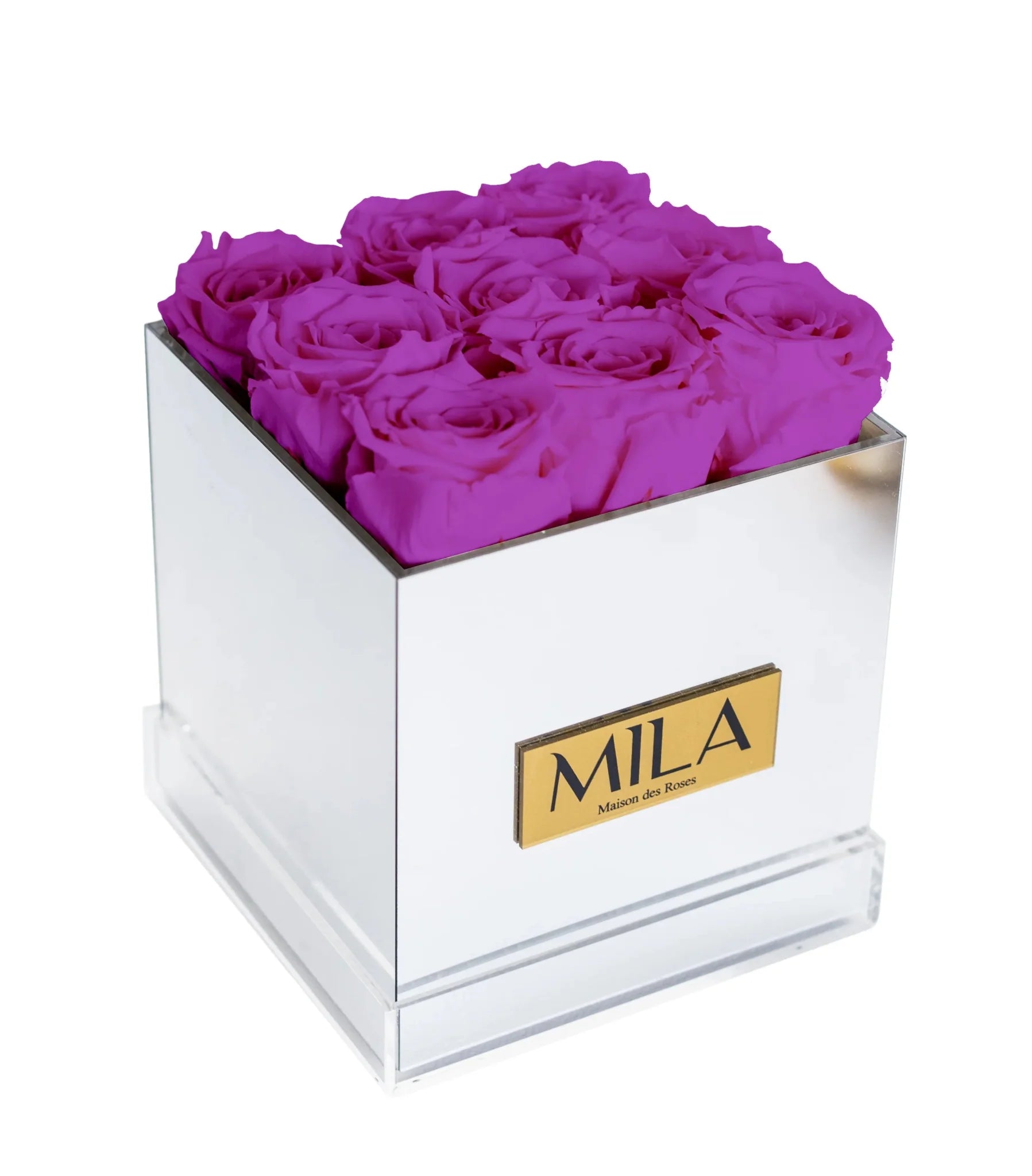 Mila Acrylic Mirror - Mila Rose