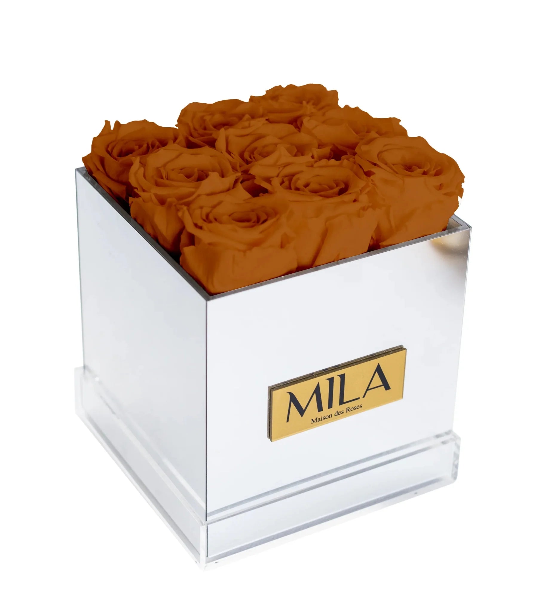 Mila Acrylic Mirror - Mila Rose