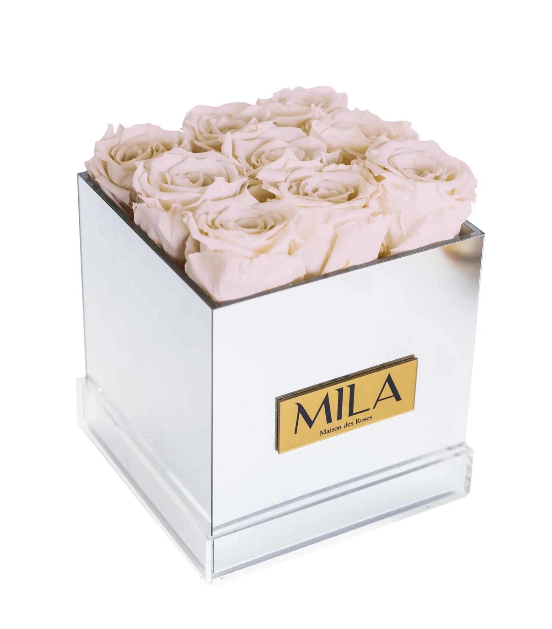 Mila Acrylic Mirror - Mila Rose