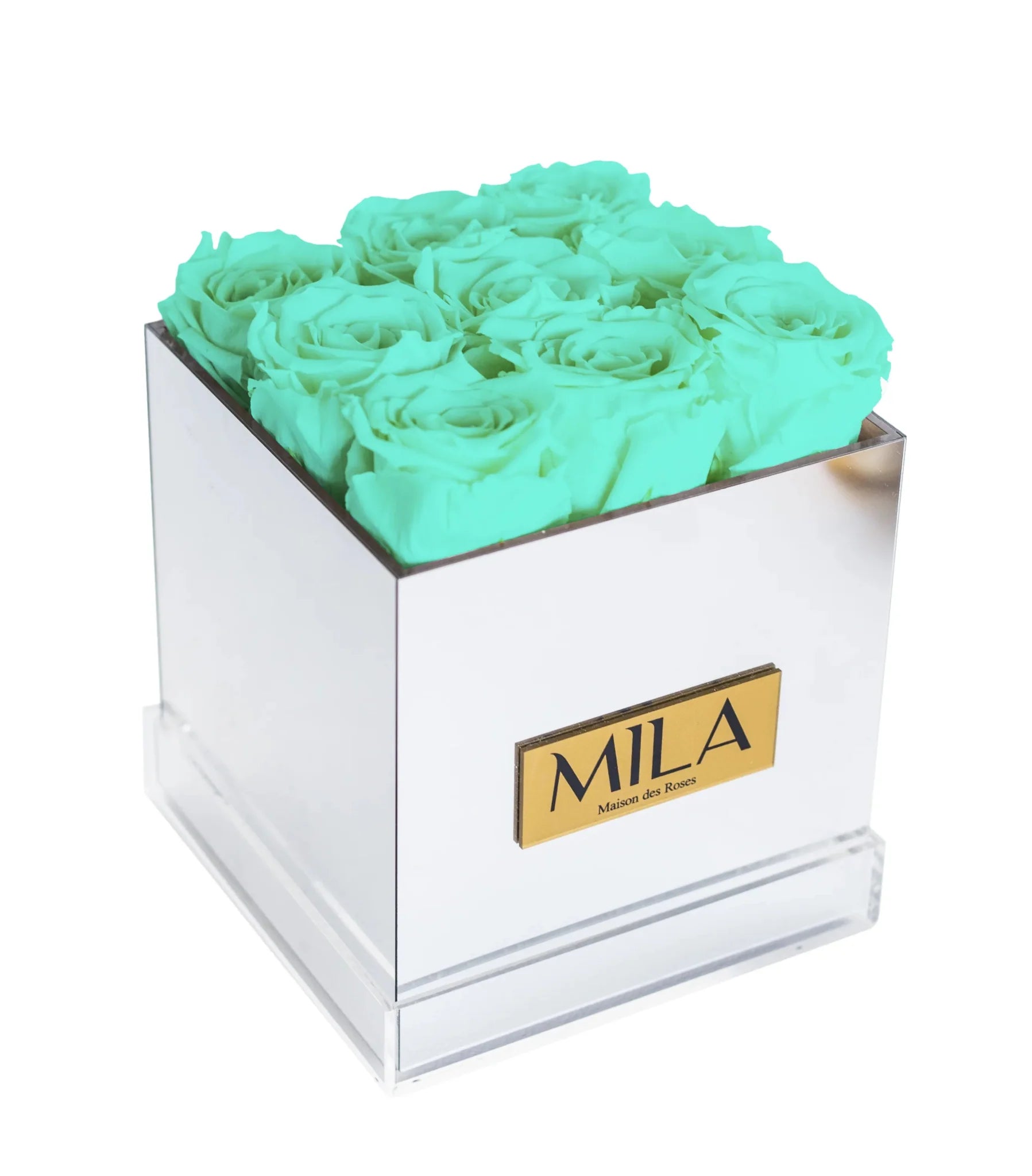 Mila Acrylic Mirror - Mila Rose