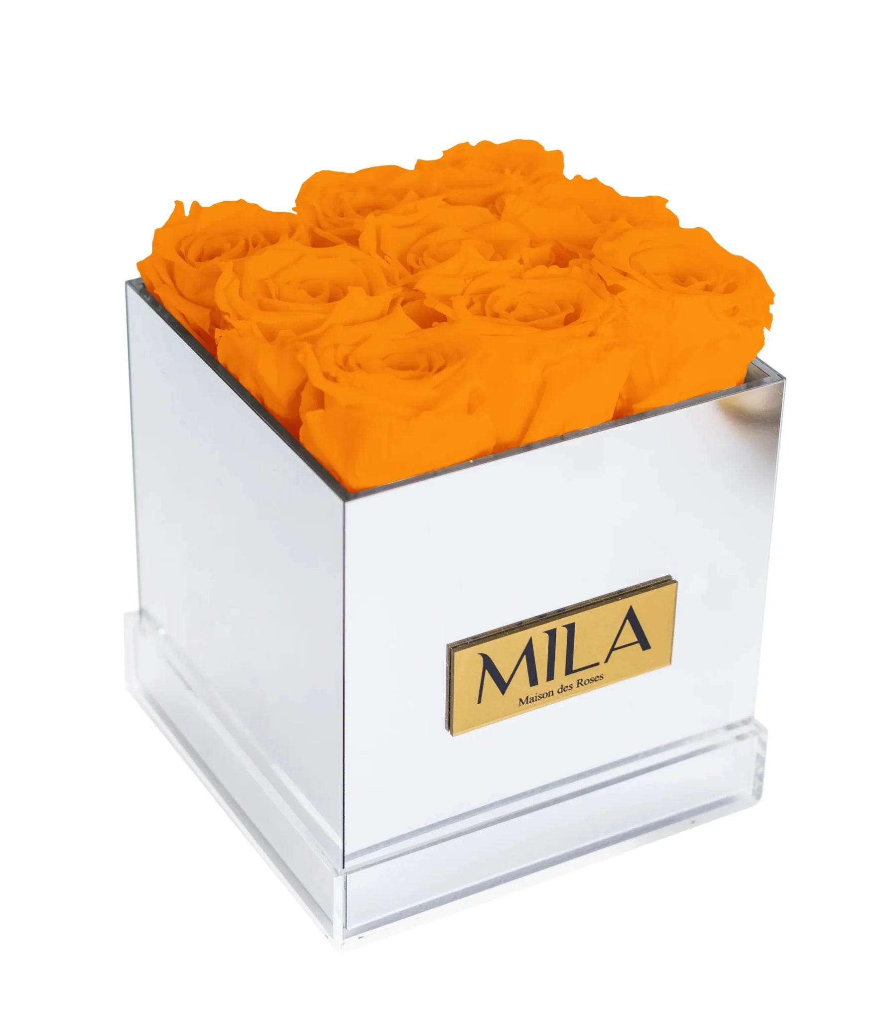 Mila Acrylic Mirror - Mila Rose