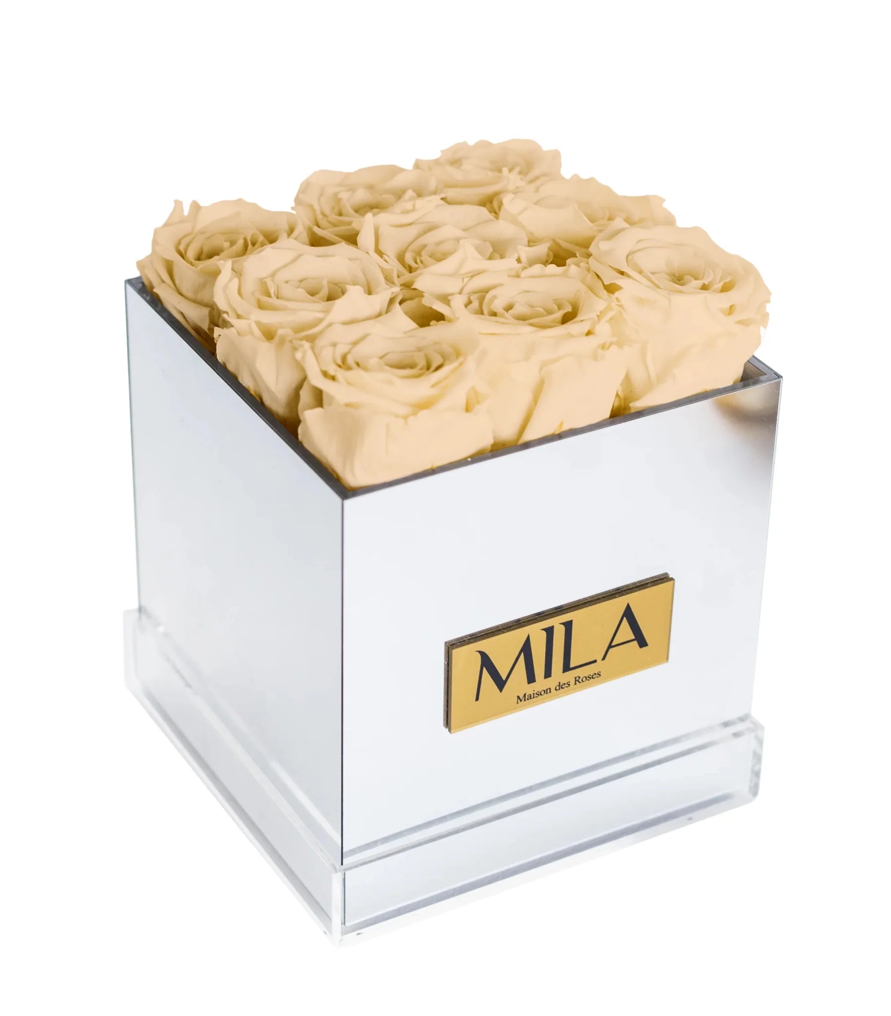 Mila Acrylic Mirror - Mila Rose