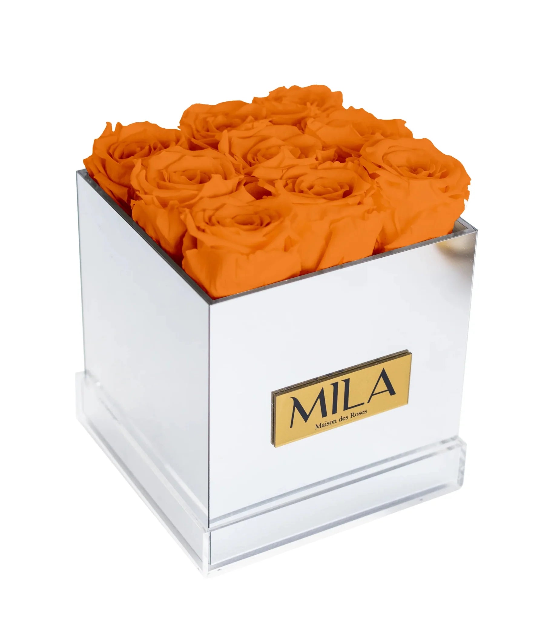 Mila Acrylic Mirror - Mila Rose