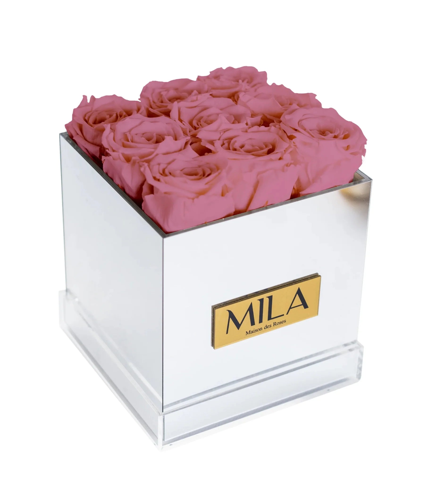 Mila Acrylic Mirror - Mila Rose