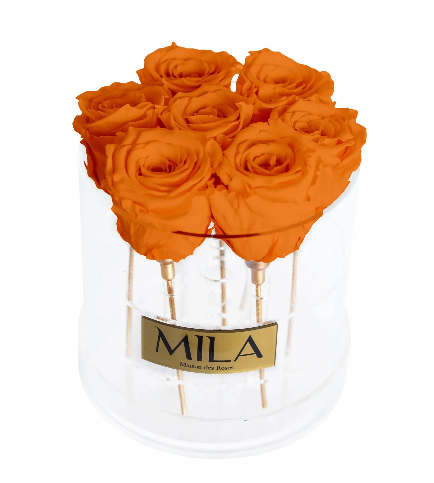 Mila Acrylic Round - Mila Rose