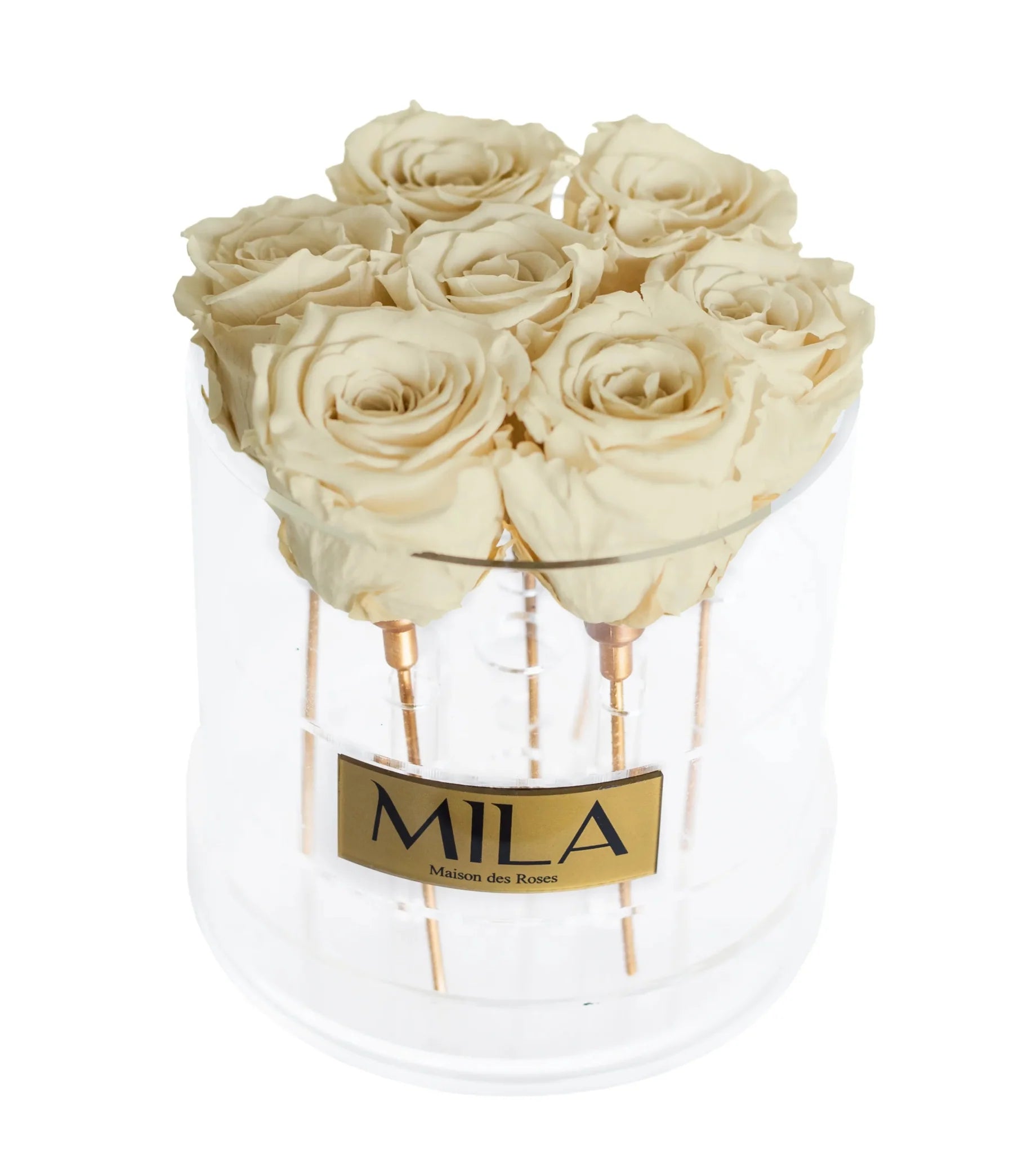 Mila Acrylic Round - Mila Rose