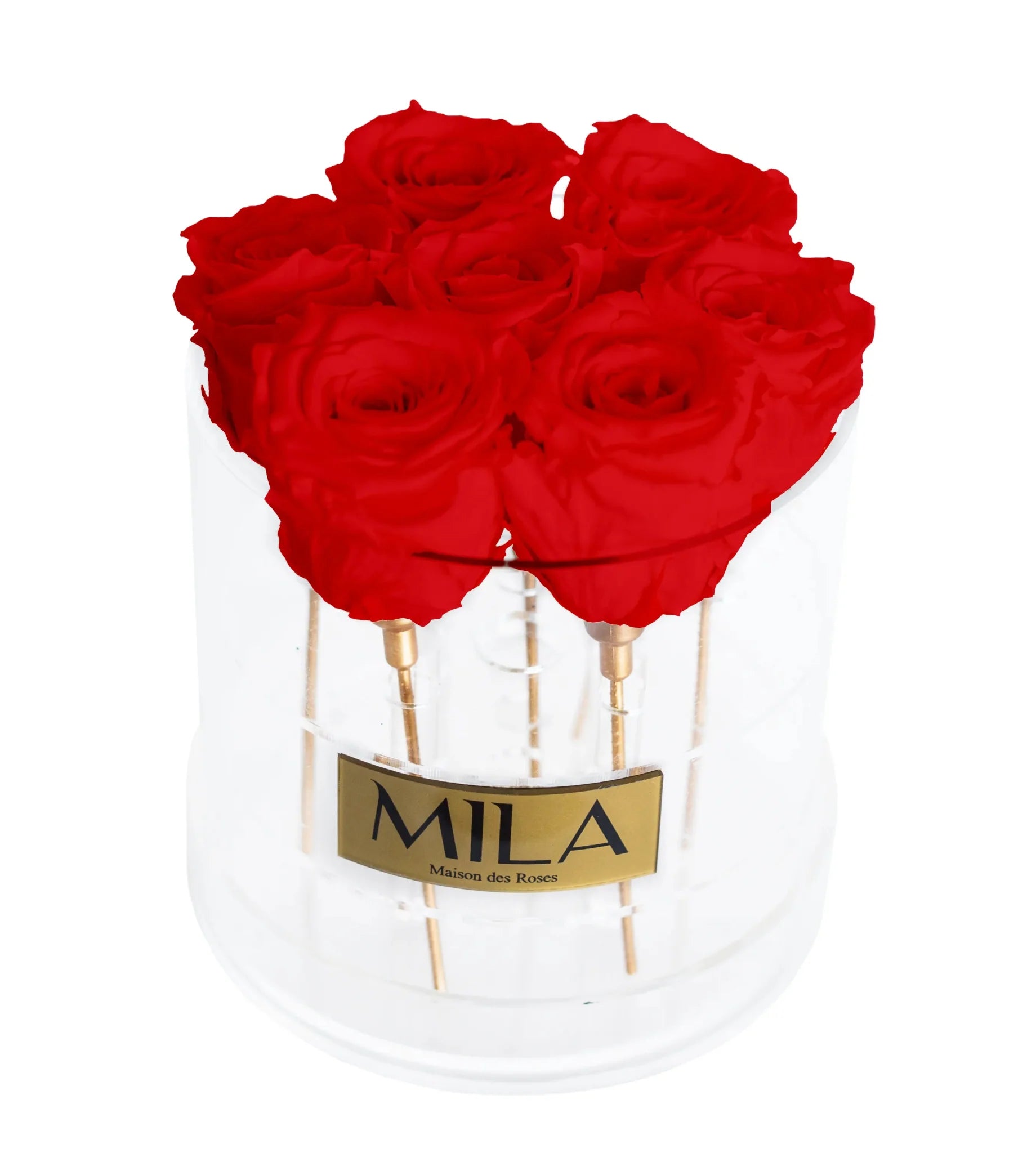 Mila Acrylic Round - Mila Rose