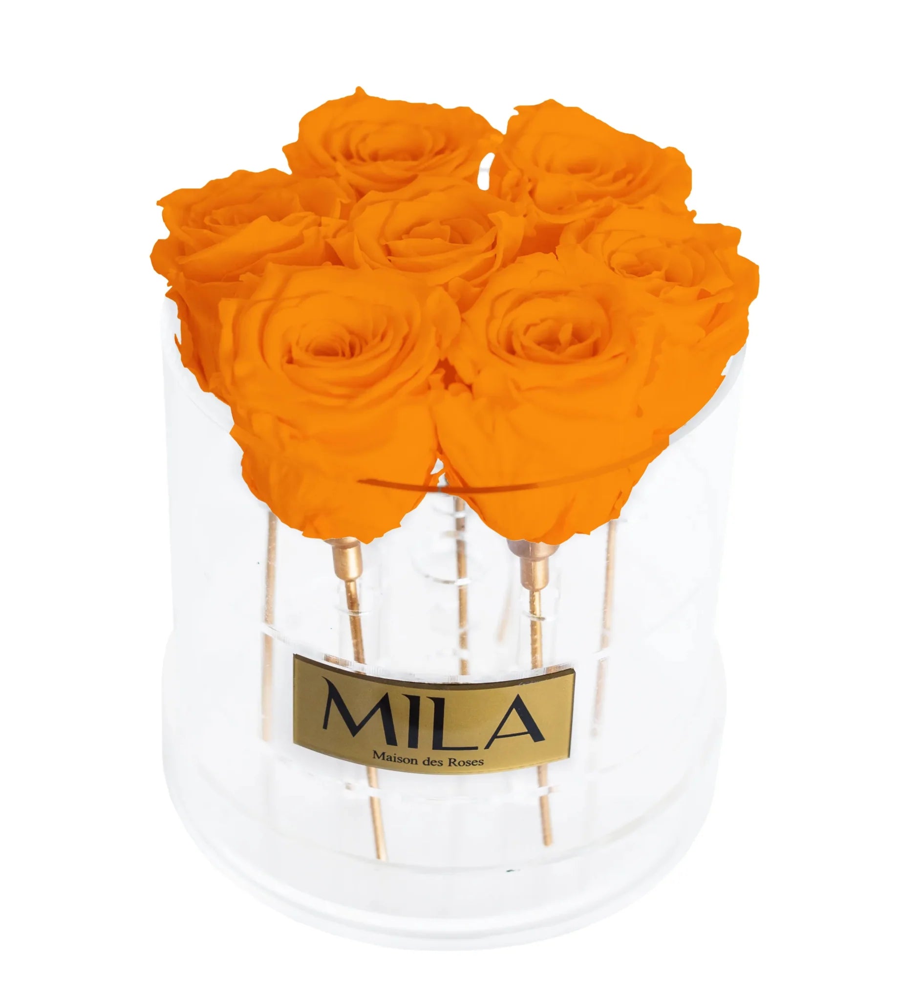 Mila Acrylic Round - Mila Rose