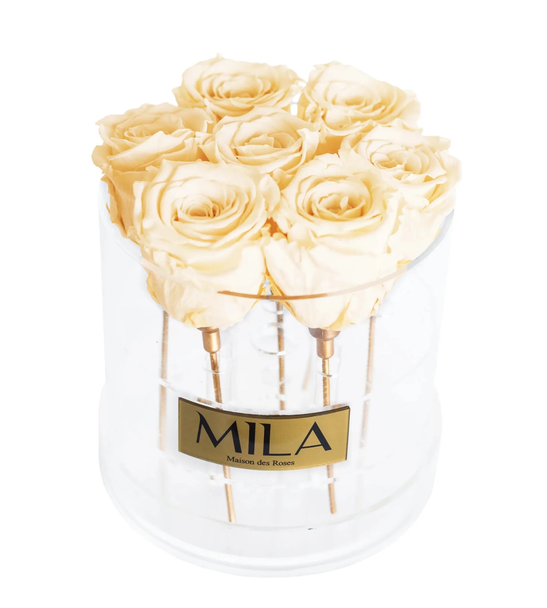 Mila Acrylic Round - Mila Rose