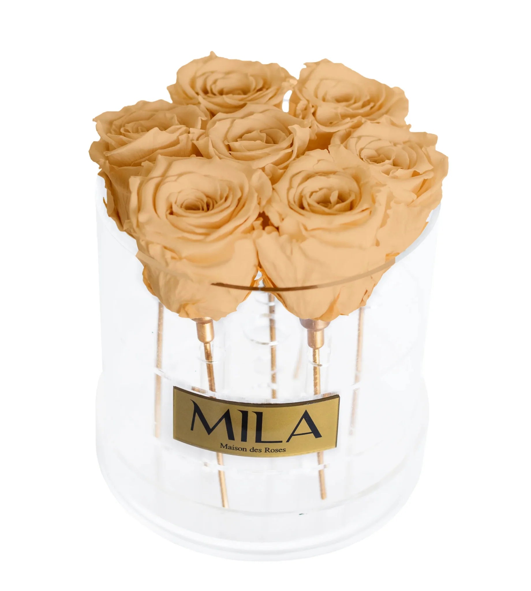 Mila Acrylic Round - Mila Rose