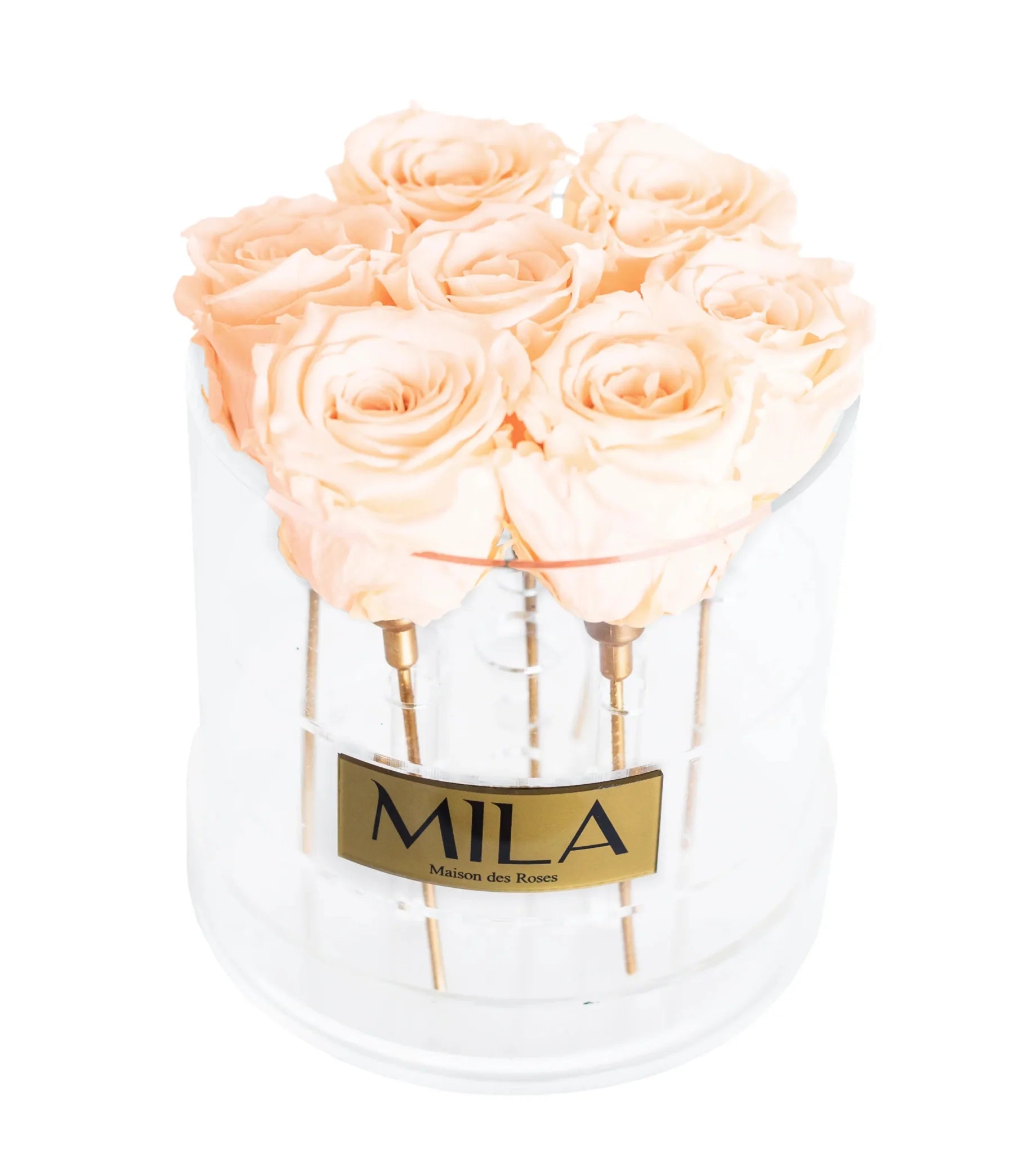 Mila Acrylic Round - Mila Rose