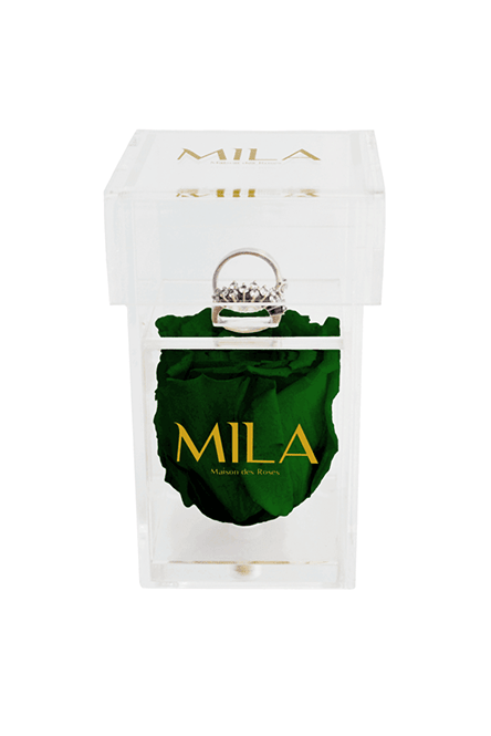 Mila Acrylic Single Ring - Mila Rose