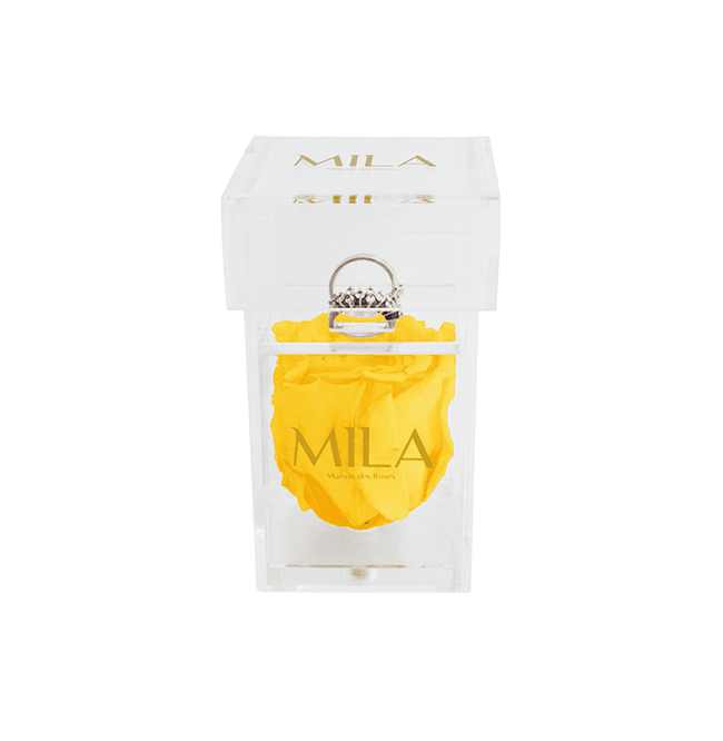 Mila Acrylic Single Ring - Mila Rose