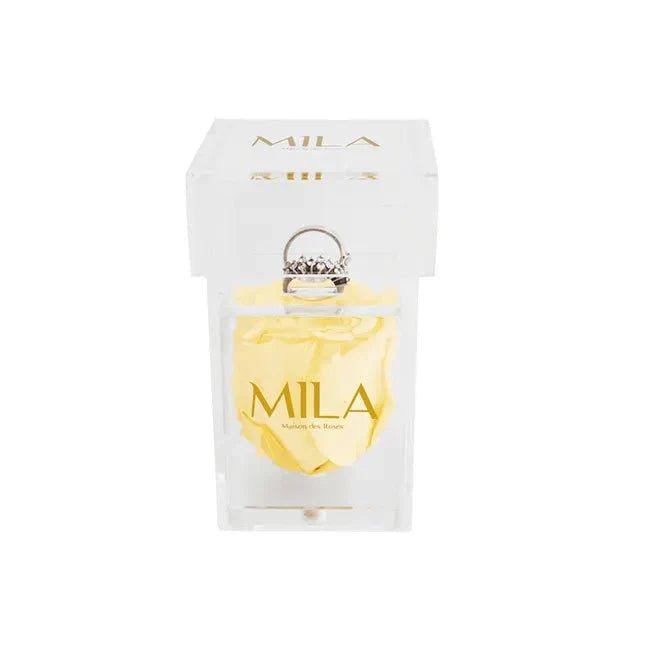 Mila Acrylic Single Ring - Mila Rose