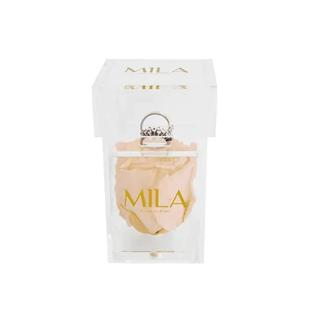 Mila Acrylic Single Ring - Mila Rose