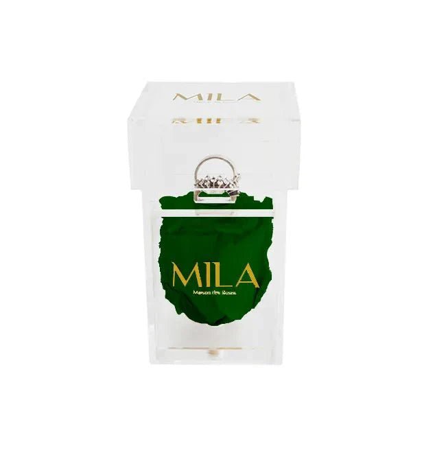 Mila Acrylic Single Ring - Mila Rose