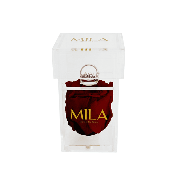 Mila Acrylic Single Ring - Mila Rose