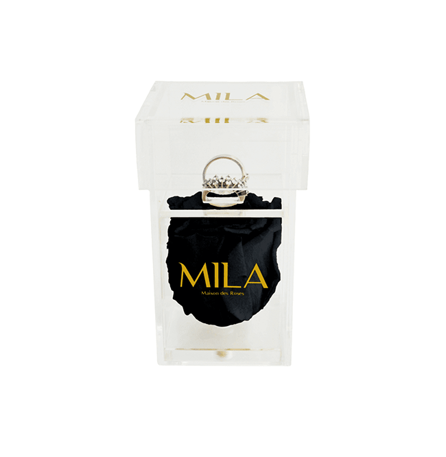 Mila Acrylic Single Ring - Mila Rose