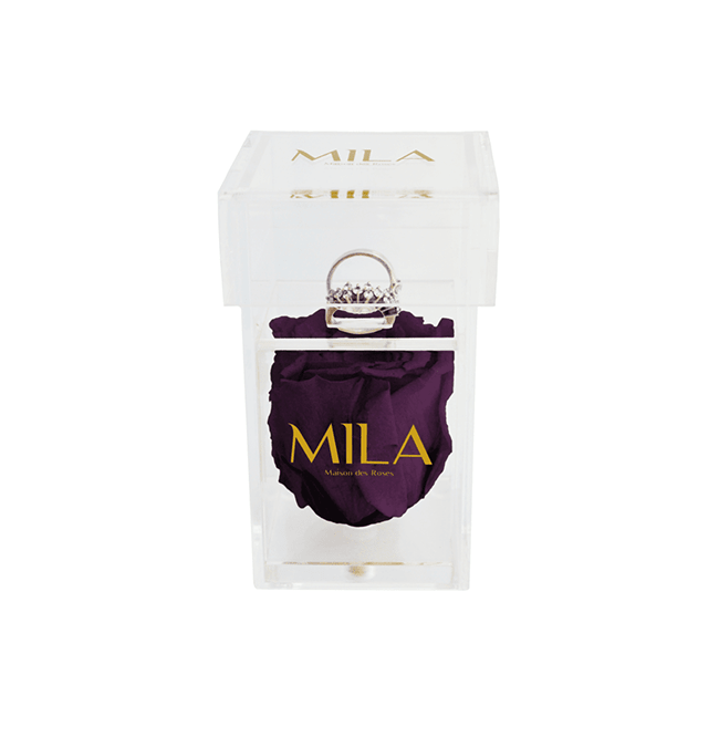 Mila Acrylic Single Ring - Mila Rose