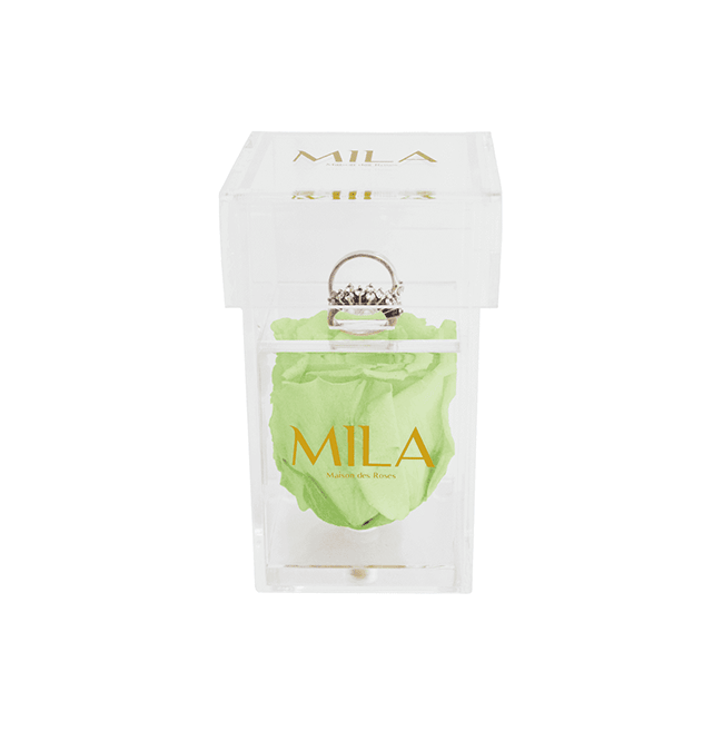 Mila Acrylic Single Ring - Mila Rose
