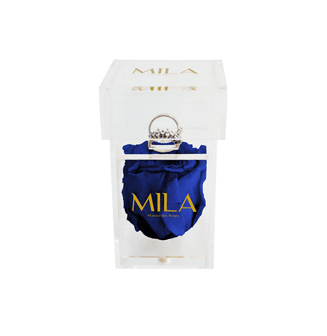 Mila Acrylic Single Ring - Mila Rose