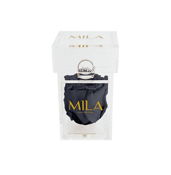 Mila Acrylic Single Ring - Mila Rose