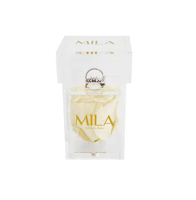 Mila Acrylic Single Ring - Mila Rose