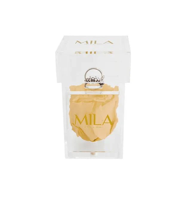 Mila Acrylic Single Ring - Mila Rose