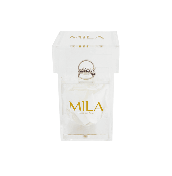 Mila Acrylic Single Ring - Mila Rose