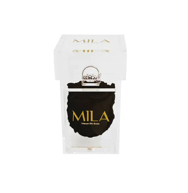 Mila Acrylic Single Ring - Mila Rose