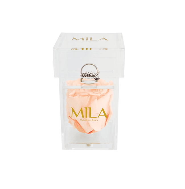 Mila Acrylic Single Ring - Mila Rose