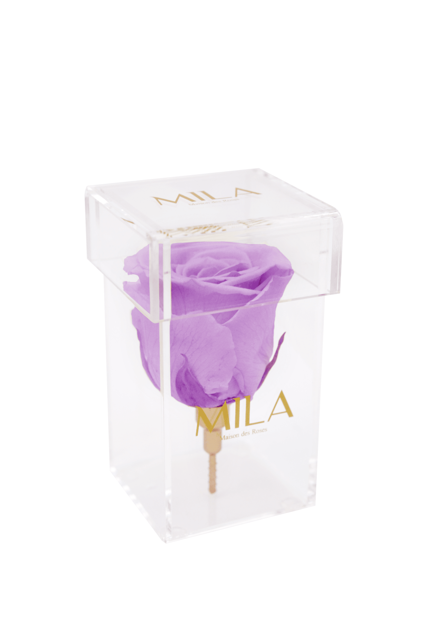 Mila Acrylic Single Stem - Mila Rose