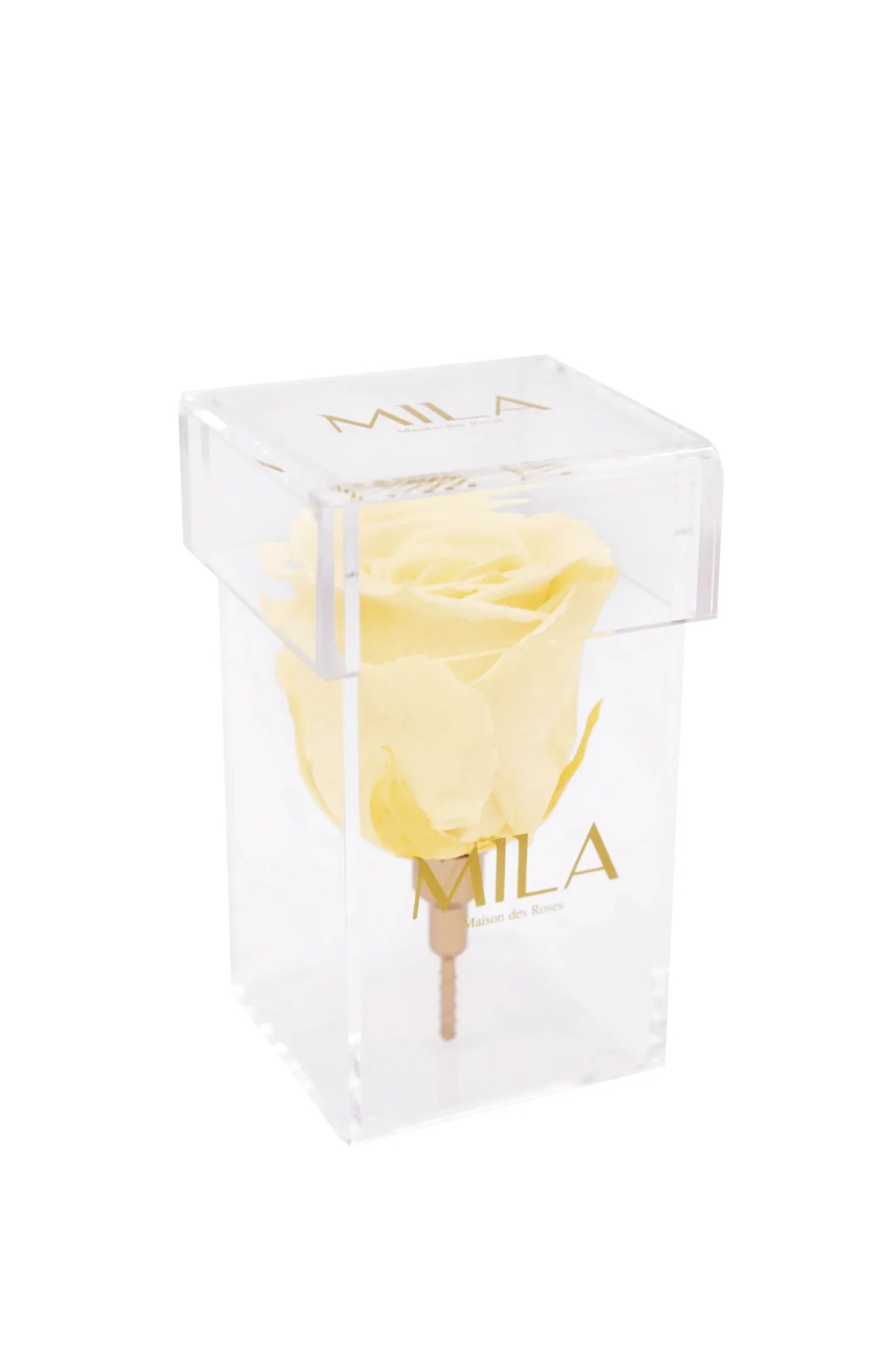 Mila Acrylic Single Stem - Mila Rose