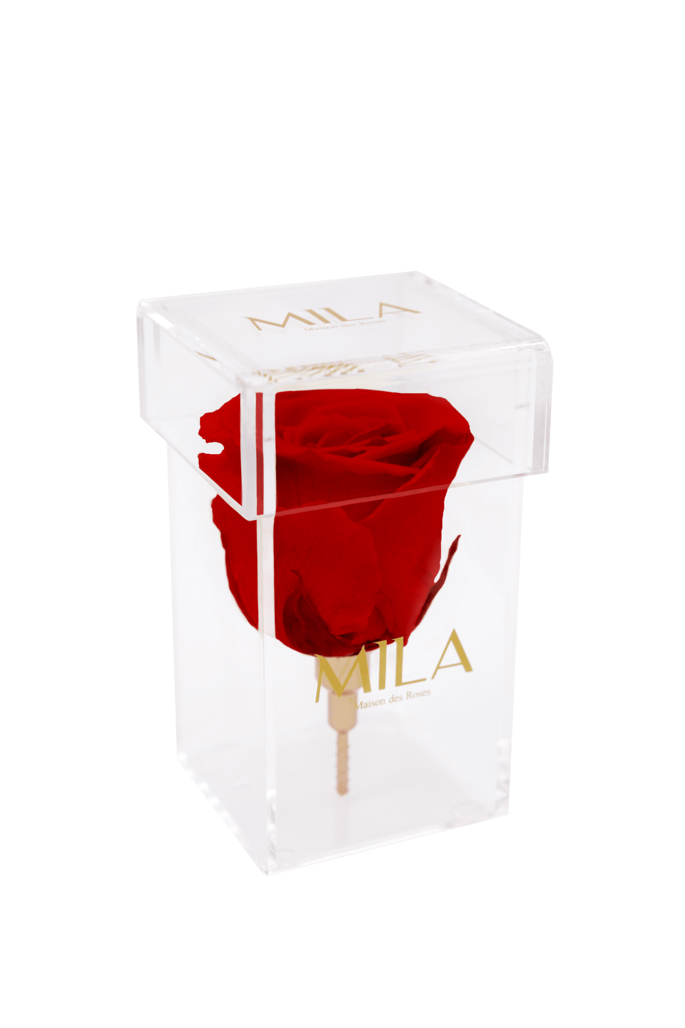 Mila Acrylic Single Stem