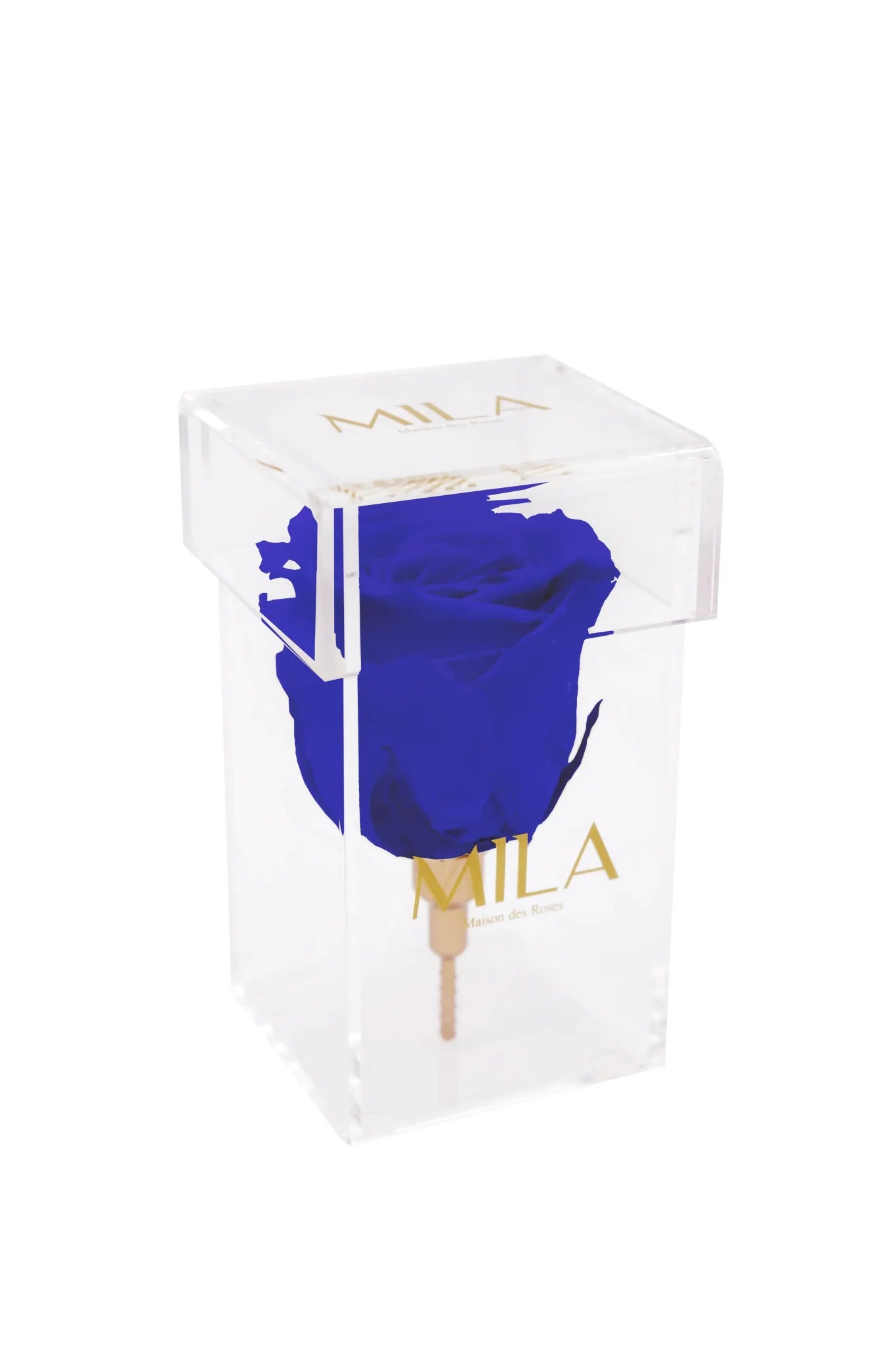 Mila Acrylic Single Stem - Mila Rose
